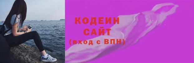 СК Богородицк