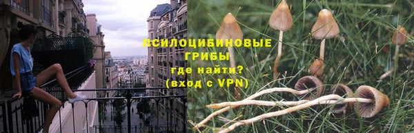 МДМА Богданович