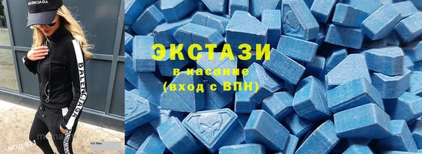 СК Богородицк