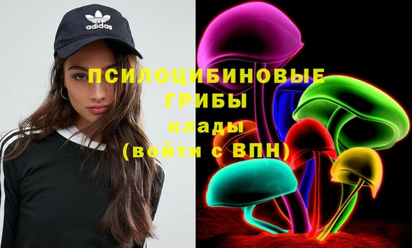 МДМА Богданович
