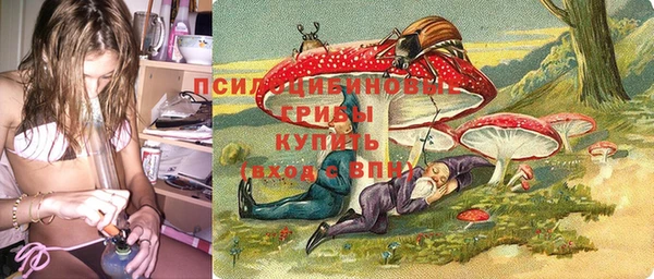 МДМА Богданович